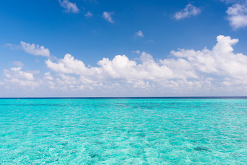 Fototapeta na wymiar Summer vacation in paradise. A trip to the summer. The water of the lagoon is turquoise. Light white clouds in the blue summer sky. Maldives. Indian Ocean.