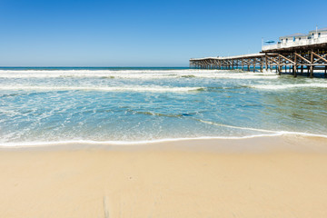Fototapeta na wymiar Welcome to summer. Beach in San Diego, California. Seagull over the waves