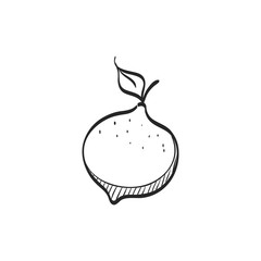 Sketch icon - Lemon