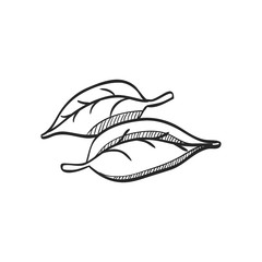 Sketch icon - Leaves