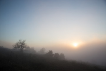 Low sun filtering through slightly above fog and mist, with some trees silhouettes