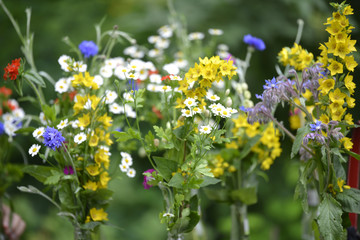 Obraz premium Small summer bouquets