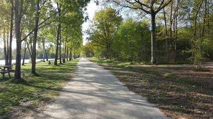 chemin forestier 