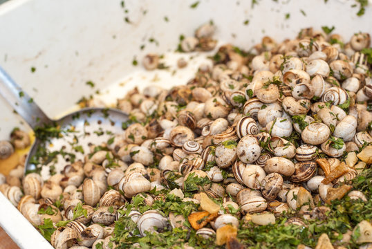Lots of pile snails from an Sicilian market