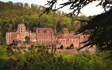 Das Heidelberger Schloss