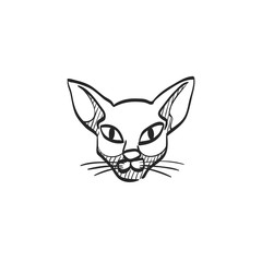 Sketch icon - Cat