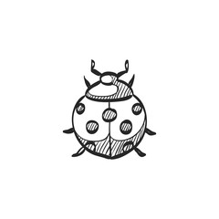Sketch icon - Bug
