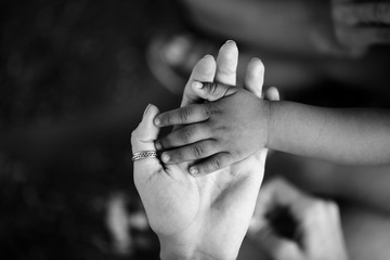 Hands of child and adult. Black and white hand. Trust and support, motherhood and childhood, parent and son or daughter. Children of Africa. Family and love between mother and child - 146048410