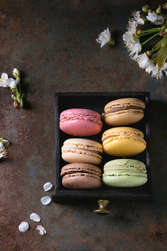 Variety of colorful french sweet dessert macaron macaroons with different fillings served in black wooden box with spring flowers over dark texture background. Top view with space