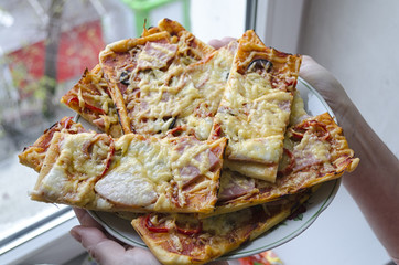 Pieces of pizza on a plate.