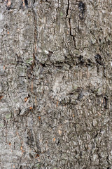 abstract Mortar background