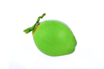 coconut on white background