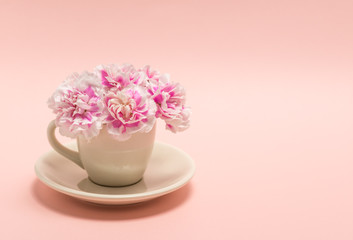 カーネーション