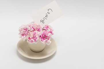 母の日イメージ