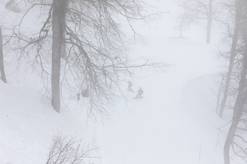 Skiers on a snowy slope in fog