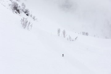 Snow ski slope and skiers in the fog