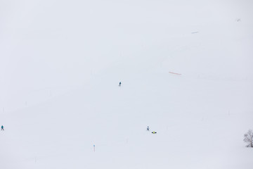 Skiers on a snowy slope