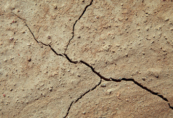 Cracked earth close-up