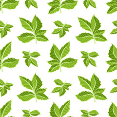 Vector seamless pattern with green leaves. Floral abstract background.