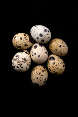 Quail eggs texture. Many quail eggs