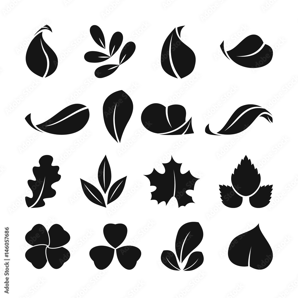 Poster black monochrome symbols of spring leaf. vector shapes. summer icon set isolate on white background