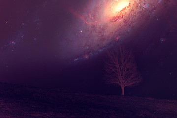 Galaxy over the alone tree silhouette in purple field- elements of this image are furnished by NASA