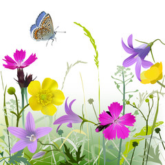 Naklejki  Łąka w rozkwicie - tło. Ręcznie rysowane ilustracji wektorowych niebieski motyl i polne kwiaty w jaskrawych kolorach: Jaskier, różowy, dzwon kwiat i różne zioła i trawy na białym tle.