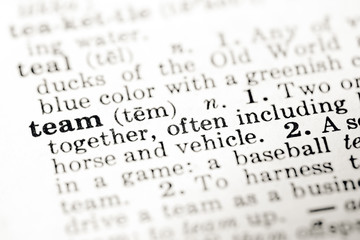 Definition of word team in dictionary