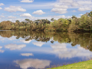 Obraz premium Beautiful springtime morning at Worthington Lakes at Standish, Lancashire, UK