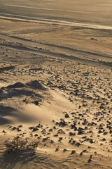 Tracks in the Sahara desert