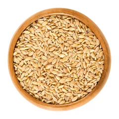 Fotobehang Einkorn wheat in wooden bowl, also called littlespelt. Dried grains. Triticum monococcum. One of the first domesticated and cultivated plants. Isolated macro food photo close up from above over white. © Peter Hermes Furian