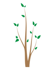 Branch of a tree with young leaves. Seedling on white. Isolated design element.