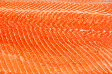 Fototapeta premium fresh salmon fillet background