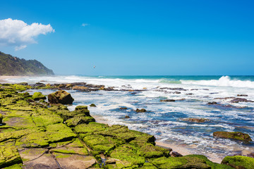 Panoramic view on summer beach