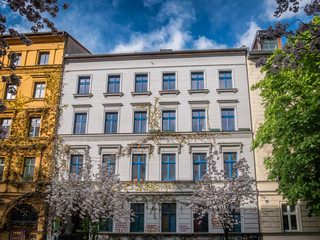 Large homes with cherry trees in Berlin