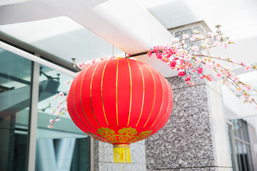 ceiling decorated with hanging chinese lanterns