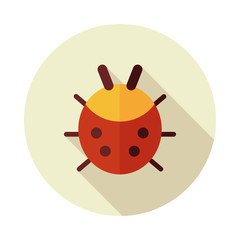 Ladybug flat vector icon