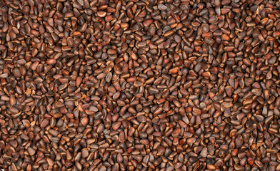 Obraz premium Pine nuts in the form of a background.