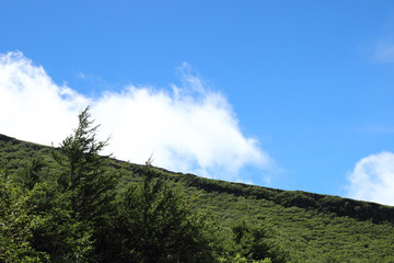 Viewed from mountain Fuji