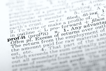Definition of word profit in dictionary