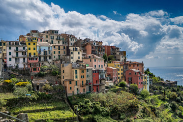 Fototapeta na wymiar Corniglia (Cinque Terre Italy)