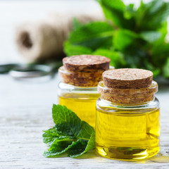 Organic essential mint oil with green leaves