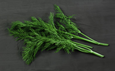 Bunch fresh, green dill herb on a black background