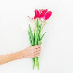 Red and white tulip flowers on feminine hand on white background. Flat lay, Top view.