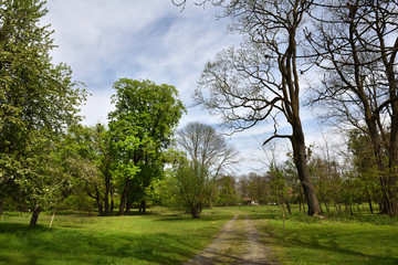 Green vibrant park