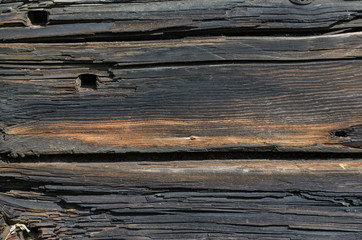 Dark Rustic House Log Wall