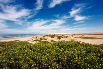 panorama of the sand dunes  behind Birubi Beach, part of the 34 kilometre stretch of Stockton Bight at Anna Bay,  the longest coastal sand dunes in Australia. Popular spot for activities such as quad-