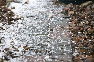 Snow pellets on the ground. Also known as graupel, precipitation that forms when supercooled droplets of water are collected and freeze on falling snowflakes, forming 2–5 mm balls of rime