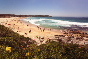 Panoram of Bondi beach in a sunny day vintage style.