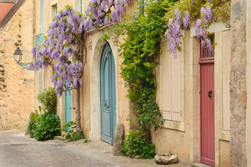 Fototapeta na wymiar Old wooden french doors with climbing wisteria on the wall Paris